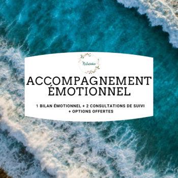 ACCOMPAGNEMENT EMOTIONNEL